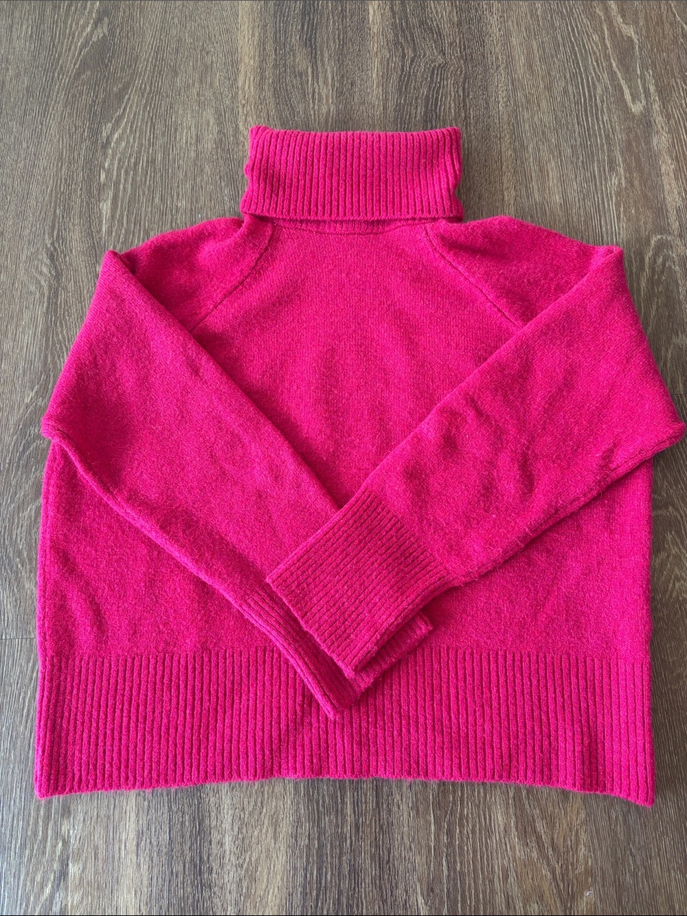 Zara Fuchsia Turtleneck Sweater, Size L